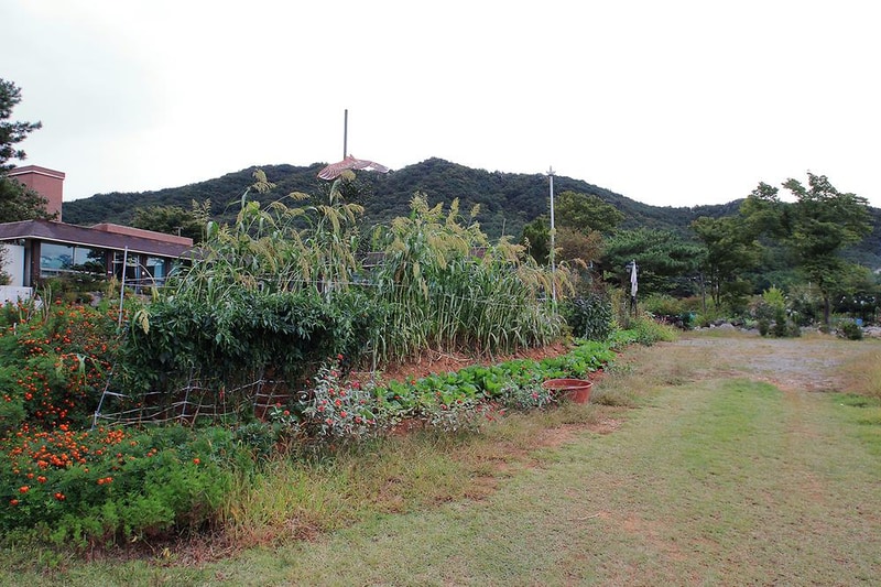 상양관광농원 시설 사진 4