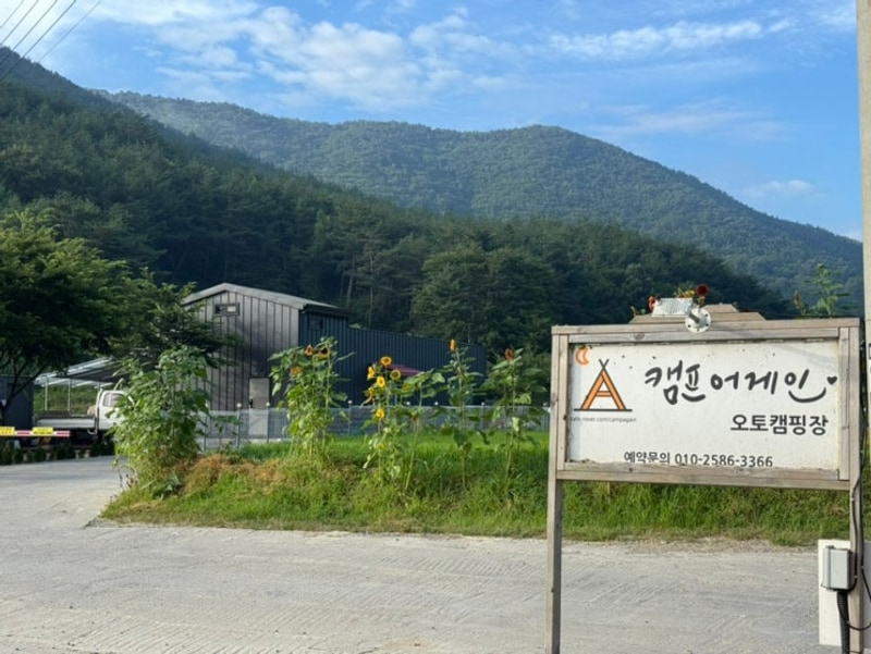 대구 근교 경주 신생 키즈 캠핑장 캠프어게인 리얼 후기