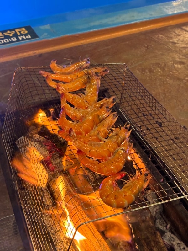[울산 울주군]부산 근교 가을 글램핑 ‘힐링빌리지’
