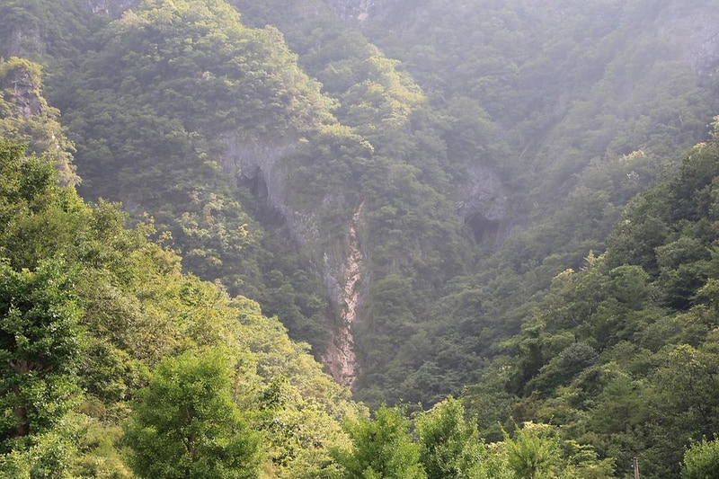 코끼리마을 시설 사진 14