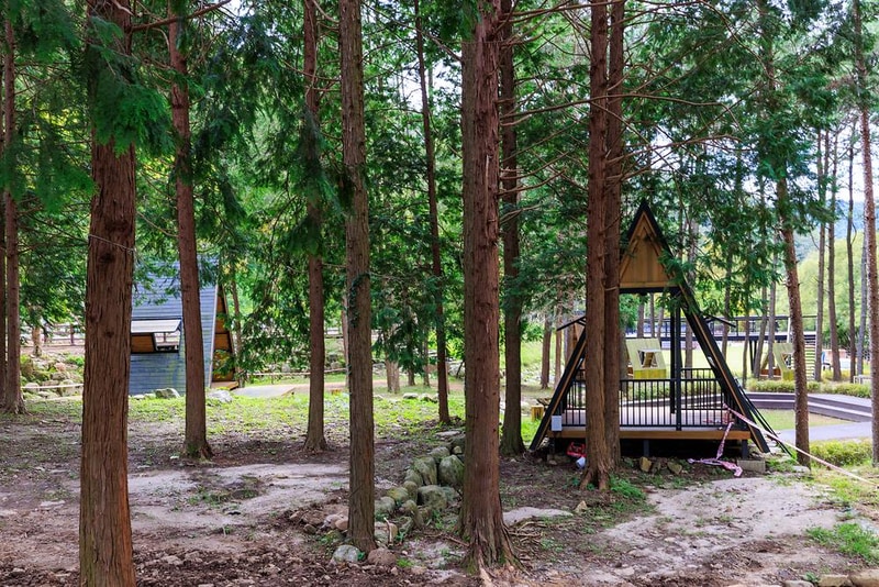 성수산 왕의숲 국민여가캠핑장 시설 사진 2