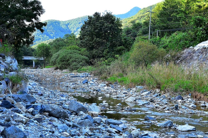 하얀숲 오토&글램핑 시설 사진 6