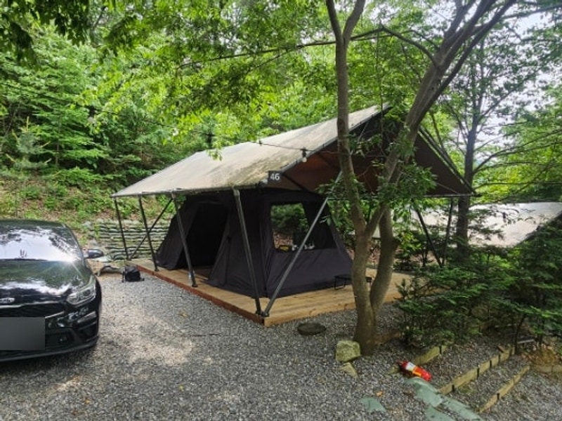 경기도 포천 | 나만 알고 싶은 숲 속 캠핑장 캠핑플래닛...