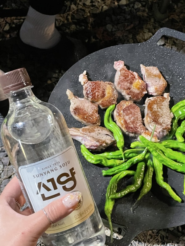 [캠핑] 아이들과 가기 좋은 고성 잔디 캠핑장 데크14,15,16...