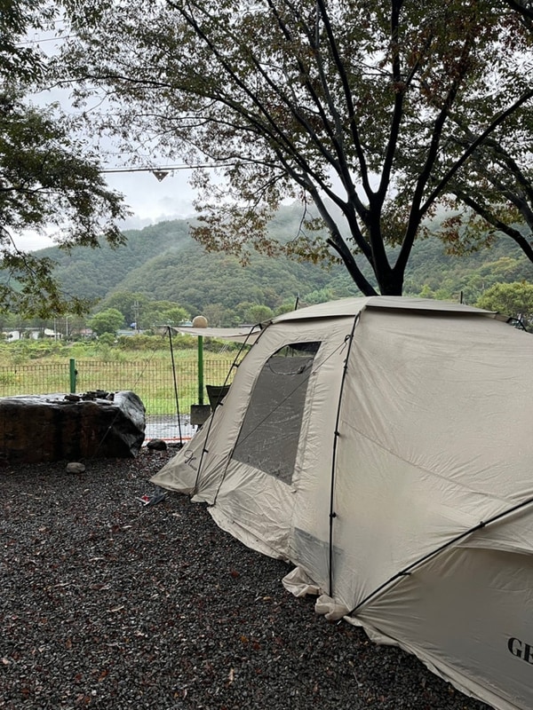 밀양 캠핑장 VIP오토캠핑장 반려동물 동반 차박 가능한 곳