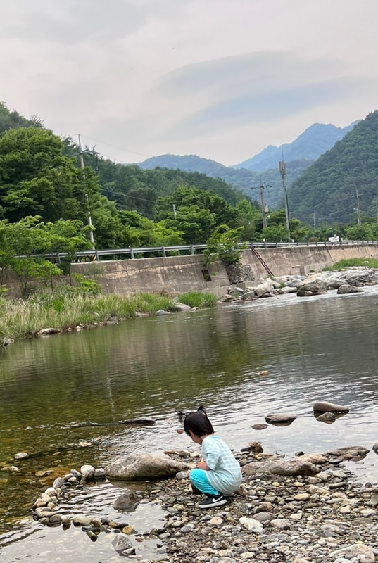 강원도 영월 느티별 캠핑장 캠린이 이용후기