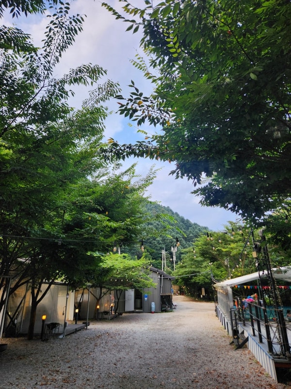 ⛺ 춘천 자연에 머물다 오토캠핑 2박 3일 후기