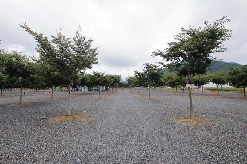 캠프원 관광농원 시설 사진 8