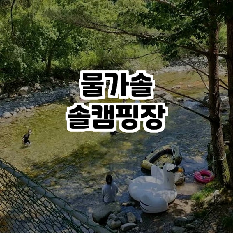 강원도 홍천 캠핑 명소, 물가솔솔캠핑장 자연과 힐링을...