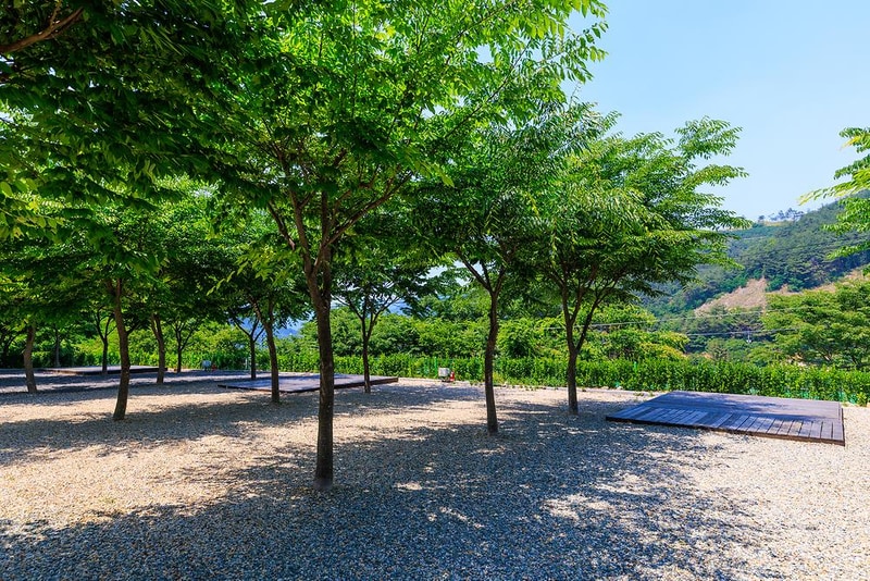 밀양 가보자 캠핑장 시설 사진 4