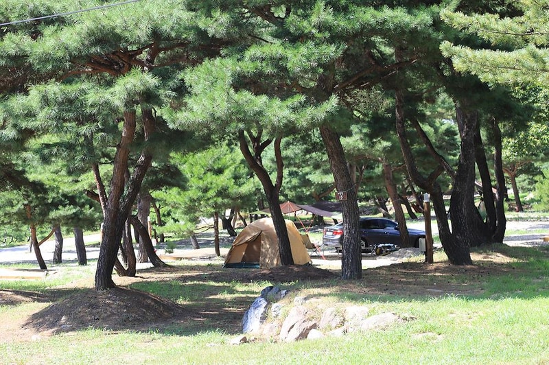 숲속의야영장 시설 사진 39