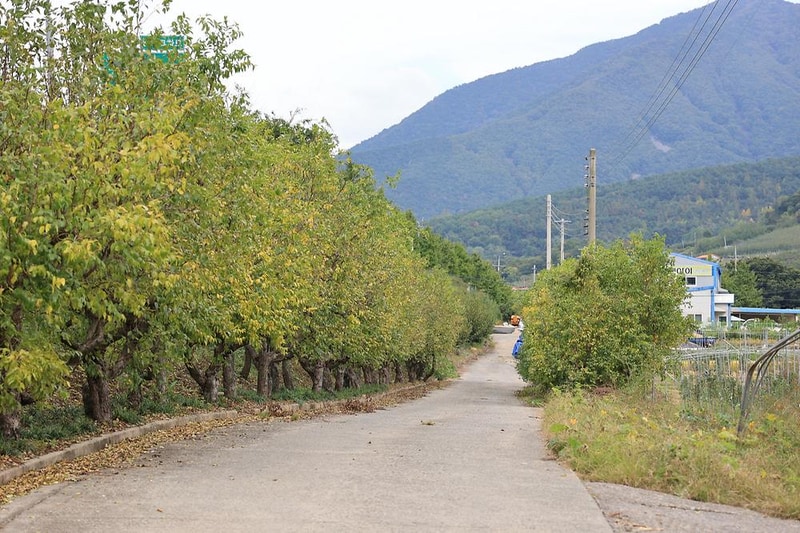 캠핑 돗가비 시설 사진 6