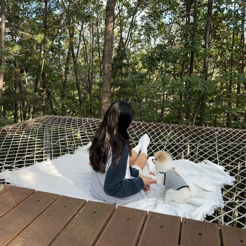 가평 캠핑장) 블루문캠핑장 명당 스테이3번 후기, 추천사이트...