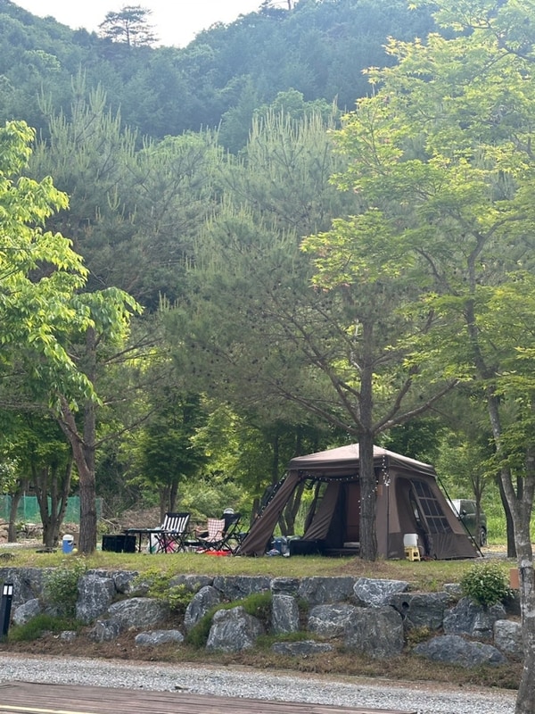 시원한 계곡이 있는 덕동계곡오토캠핑장 2박3일 후기 (B6...