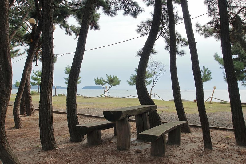 해오름 관광농원 시설 사진 14