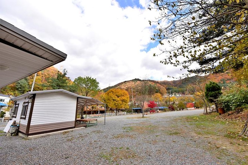 올래캠핑장 대표 사진