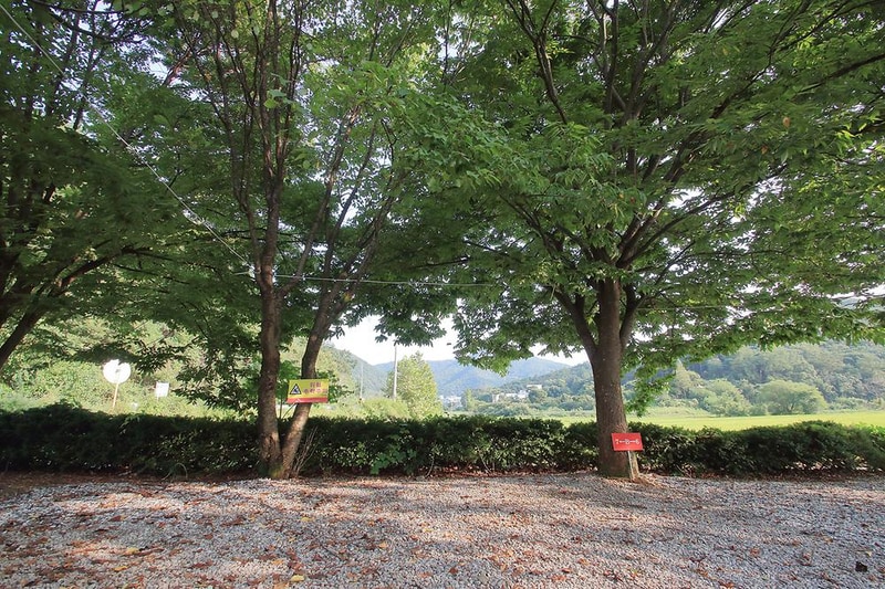 강변오토캠핑장 시설 사진 2