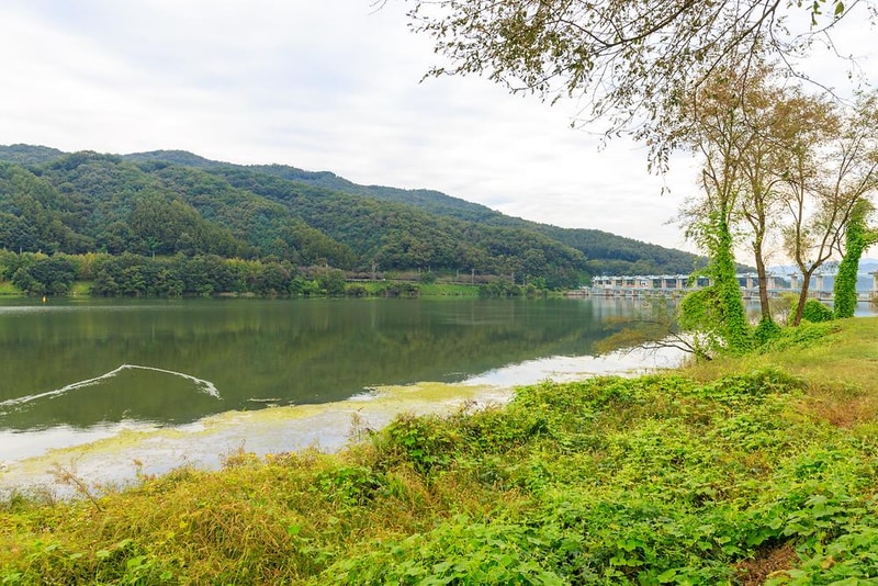 잭슨글램핑 시설 사진 3