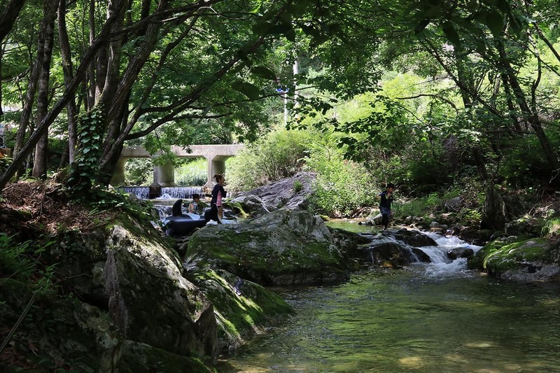 숲속의 작은집 시설 사진 8