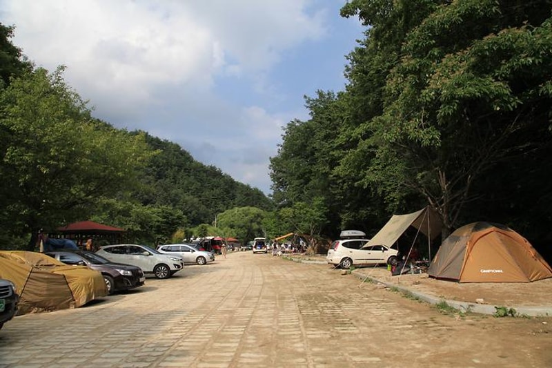 뱀사골자동차야영장 대표 사진