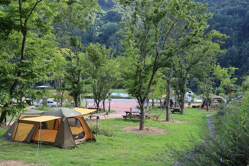 홍천강 자라바위 오토캠핑장 시설 사진 14