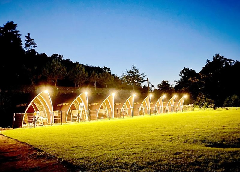 캐닌힐스(CANINHILLS) 시설 사진 12