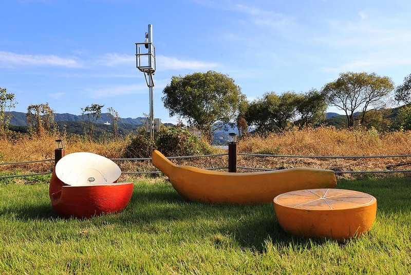 리버위드 글램핑 시설 사진 8