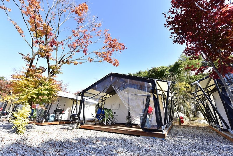 메이플트리글램핑 시설 사진 19