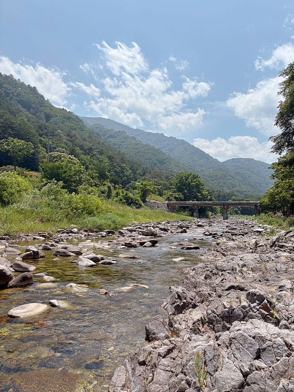 강원도캠핑장 : 산바람 물바람 좋은 양양 골짜구니캠핑장