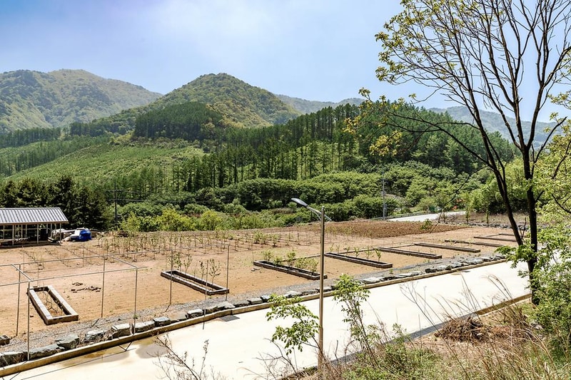 아이뜰관광농원 시설 사진 2