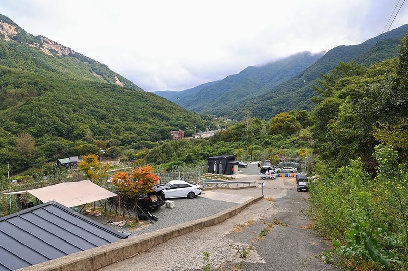 비타민 팜 오토캠핑장 시설 사진 14