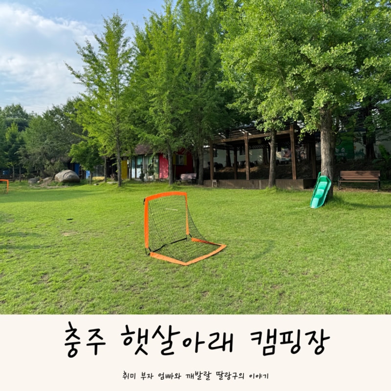 충북 충주 키즈캠핑장 서울 근교 햇살아래 캠핑장 동물농장...