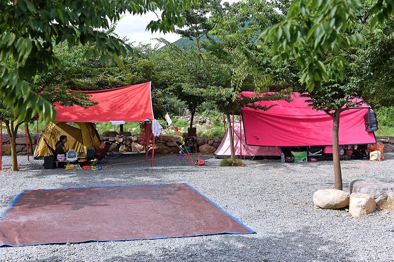 초록슈피아오토캠핑장 시설 사진 8