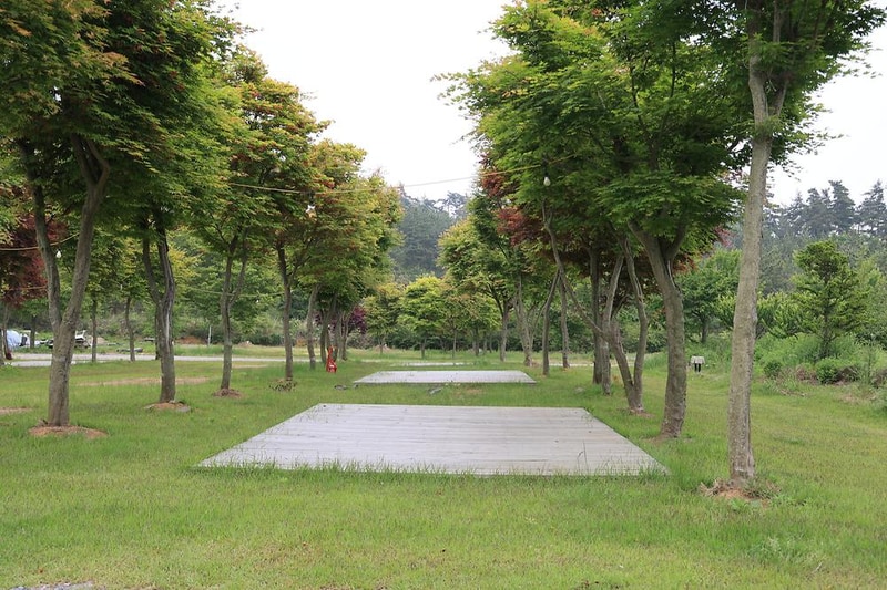 솔향기길야영장 시설 사진 10