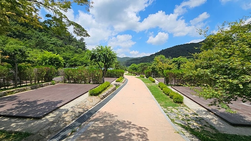 김제 모악산캠핑파크 A-25 캠핑