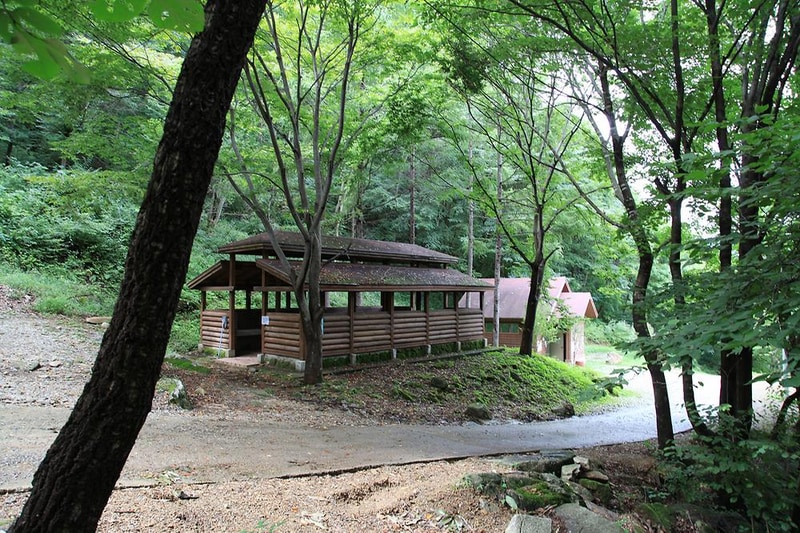 와룡자연휴양림 일반야영장 시설 사진 8