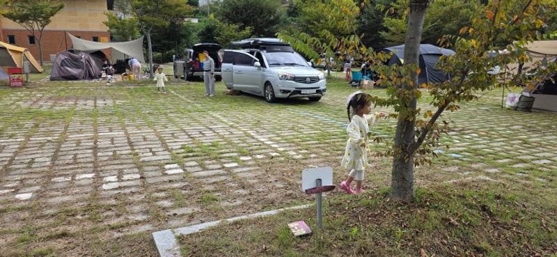 경남 합천 대장경오토캠핑장, 대장경테마파크, 해인사...