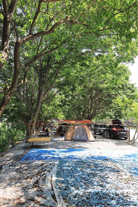 동양원목캠핑장 시설 사진 13