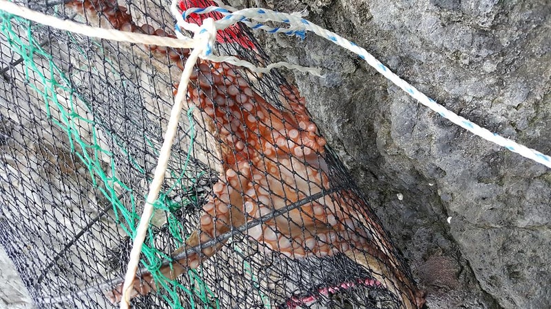 (주)청보리 시설 사진 3