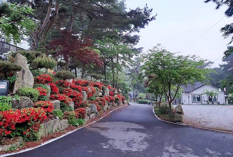 명봉산솔밭관광농원오토캠핑장 시설 사진 4