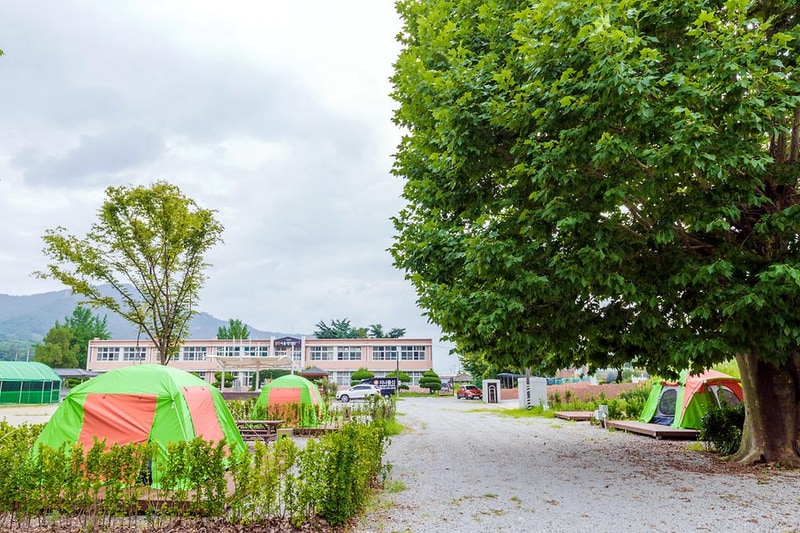 상주 감꽃마을 서울캠핑장 시설 사진 24