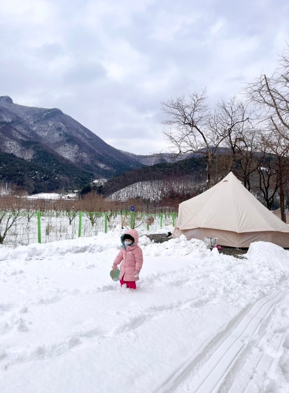 <장성>광주 근교 가족 캠핑장 장박 가능한 파랑새 캠핑장