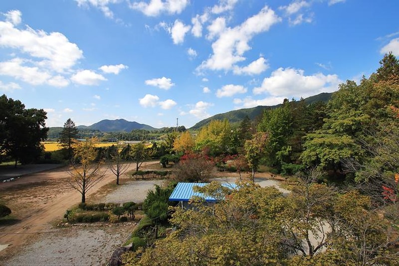 속리산사나래캠핑장 대표 사진