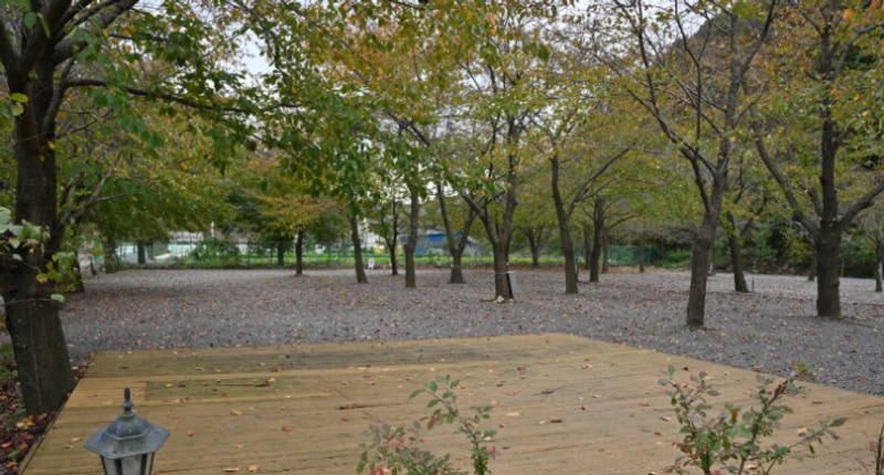 경주캠핑장, 경주오토캠핑장 반딧불이캠핑장 ,, 캠핑장의 매력