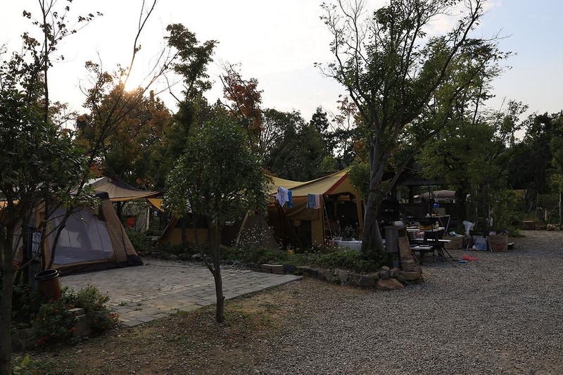 버드하우스 캠핑장 시설 사진 11