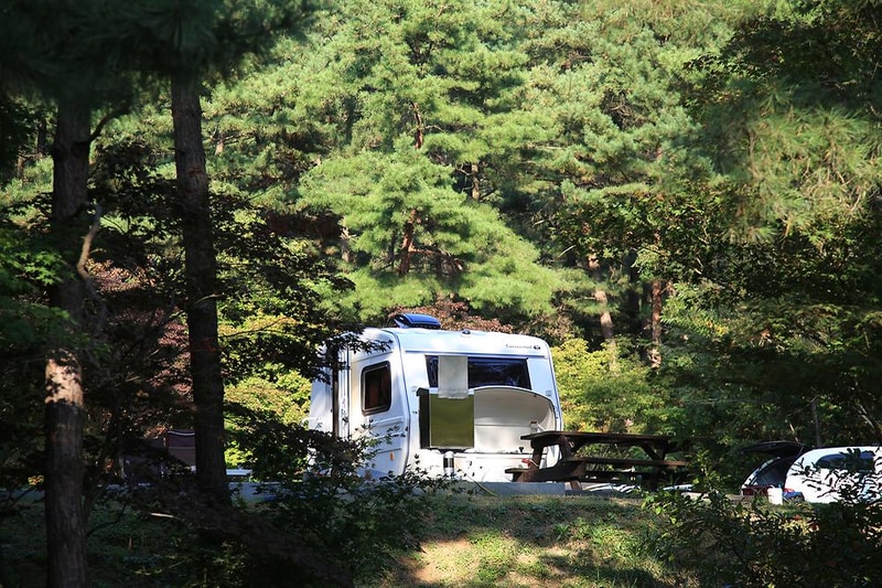 희리산해송자연휴양림 자동차야영장 시설 사진 5