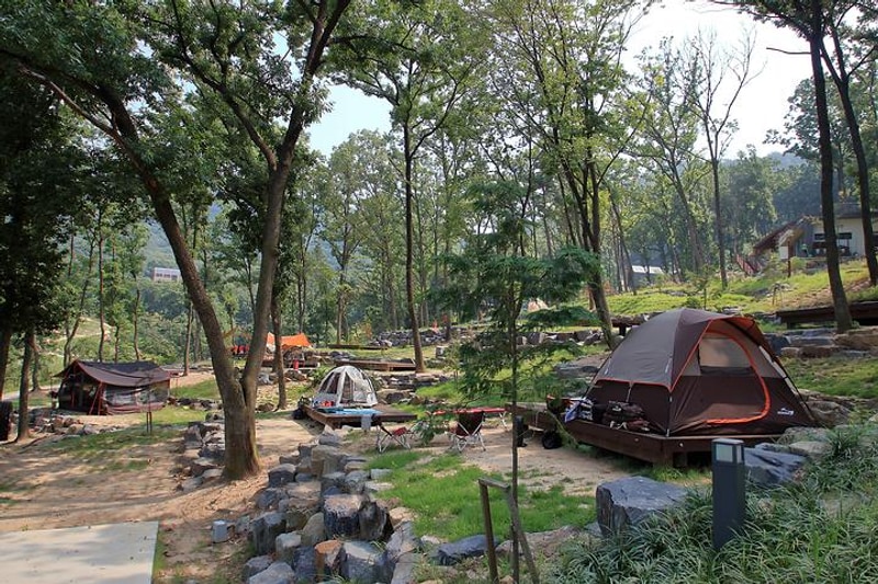 공주산림휴양마을 대표 사진