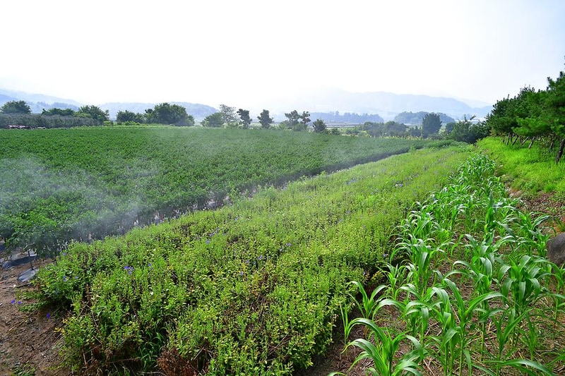 해밀캠핑장 시설 사진 7