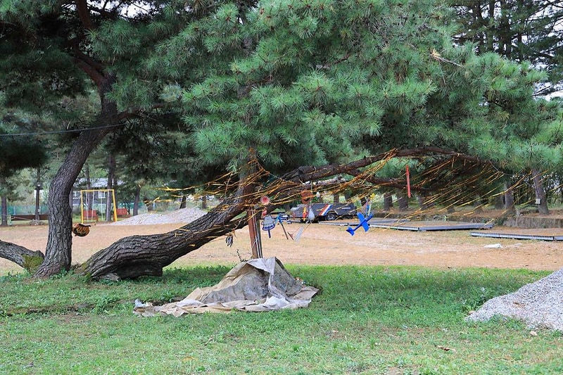 팔봉참살이오토캠핑장 시설 사진 16