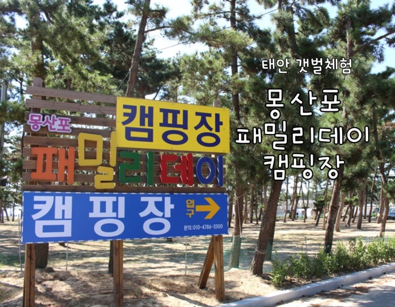 [캠핑] 충남 태안 캠핑장 | 몽산포 패밀리데이 캠핑장...